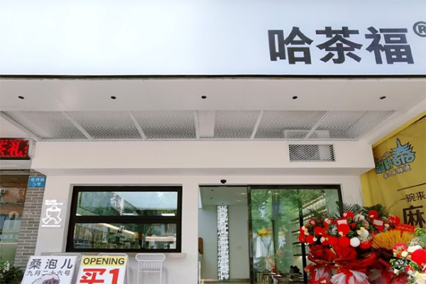 哈茶福加盟