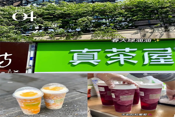 真茶屋