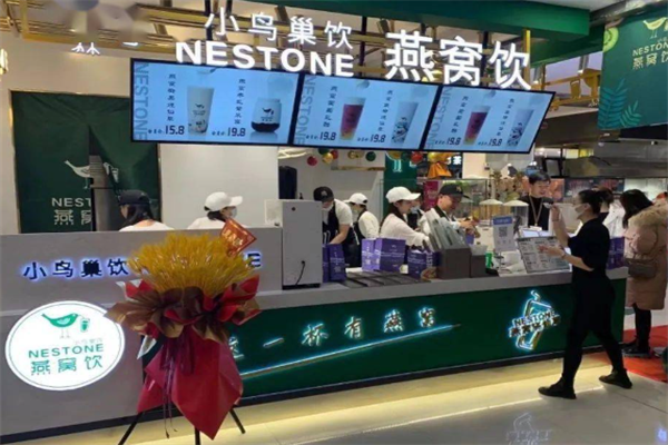 小鸟巢饮燕窝烧仙草