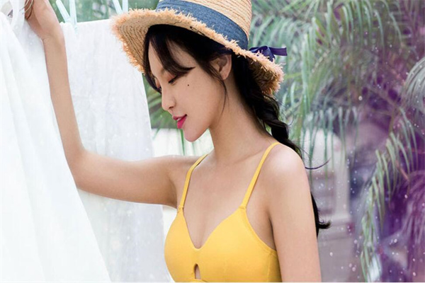 菲维斯汀