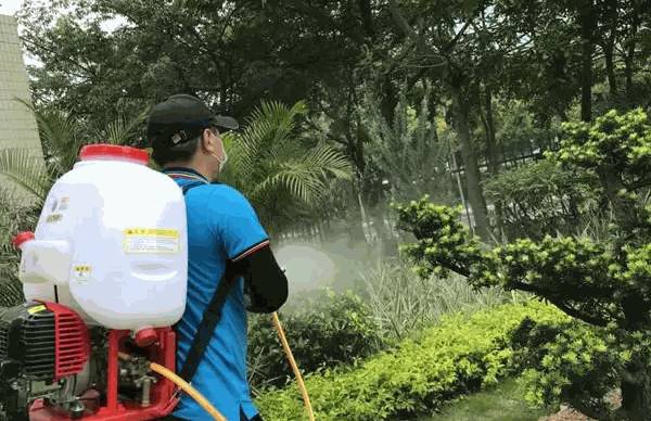 爱卫有害生物防治