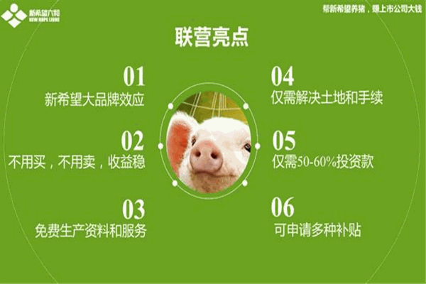 新希望养猪加盟