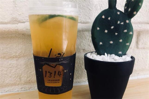 1314会说话的奶茶加盟