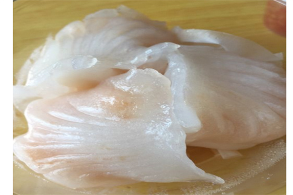 海迎春