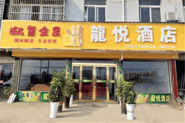 龙悦大酒店