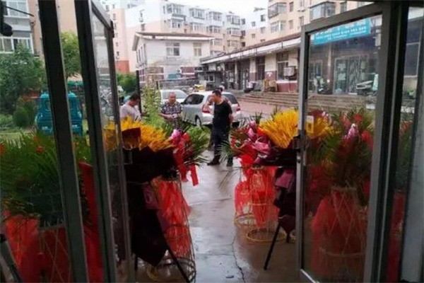 万磊硅藻泥