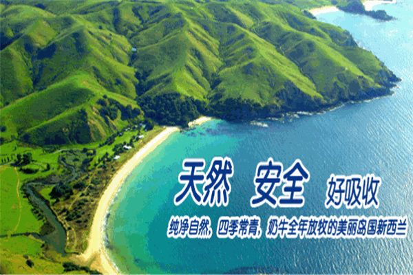 康宝瑞奶粉