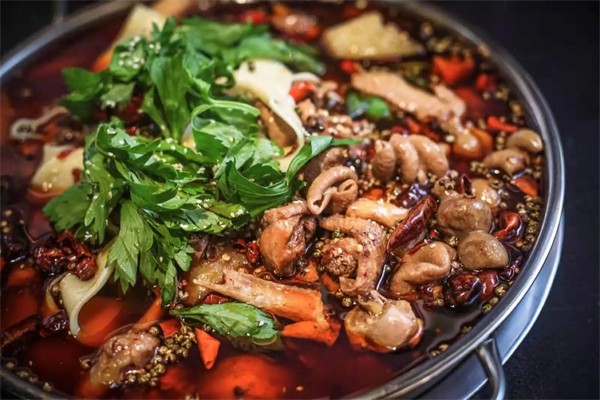 八两肥肠鸡煲火锅