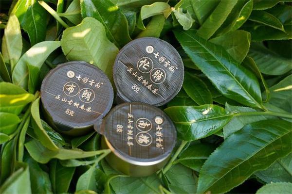 七彩云南普洱茶